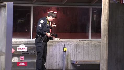 BART police arrest seven in one night in separate incidents